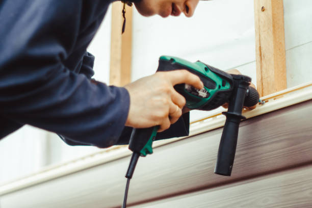 Best Siding Painting and Refinishing  in Borden, IN